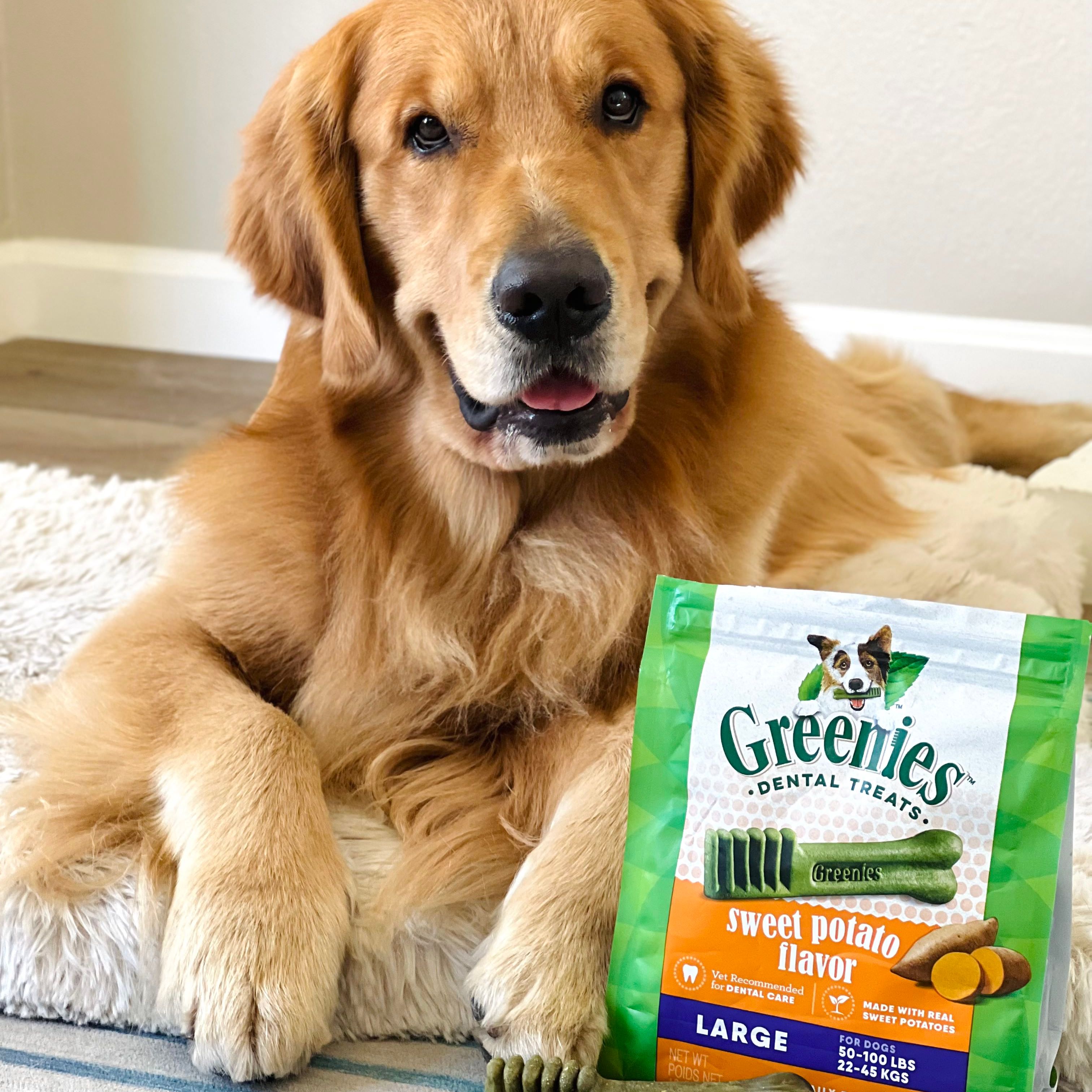 Greenies - Dog Home Dental (Pinterest)
