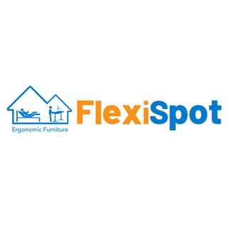FlexiSpot Ergonomic Furniture