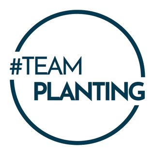 Team Planting