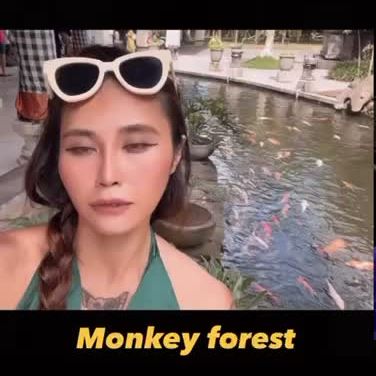 Monkey Forest adventure